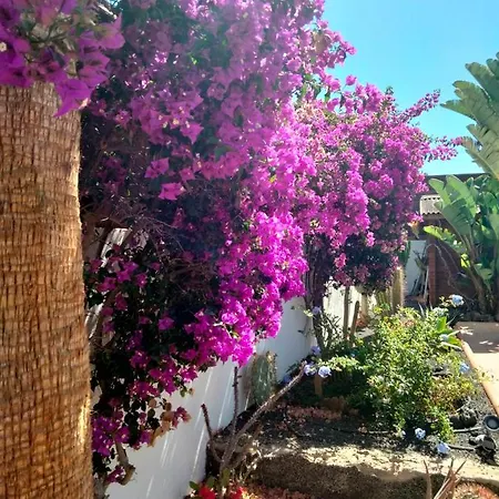 Vila Rosa Meravigliosa Con Piscina Interna Corralejo