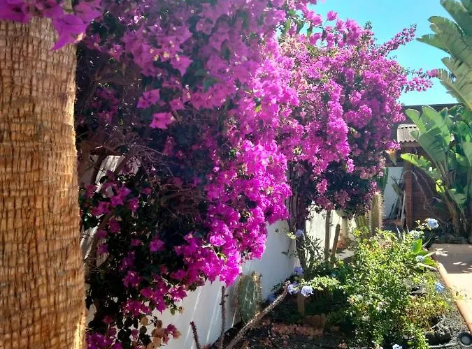 Villa Rosa Meravigliosa Con Piscina Interna Corralejo